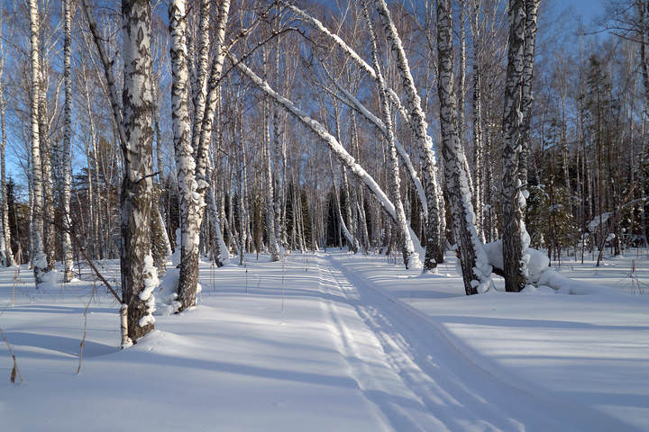 Февраль