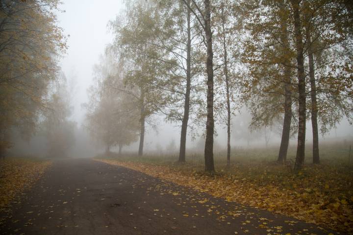 Дорога осени