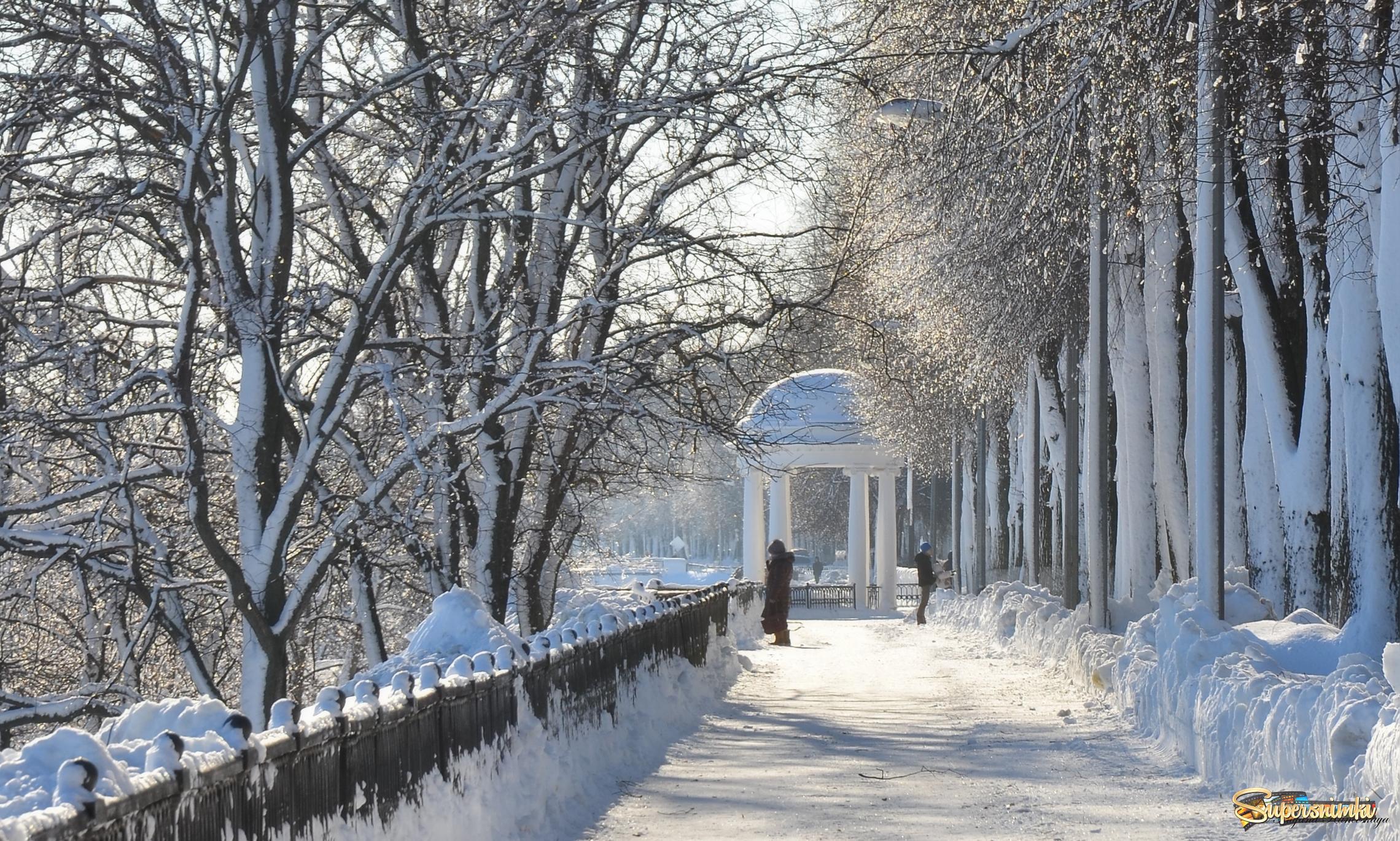 Прогулка по зимнему Ярославлю