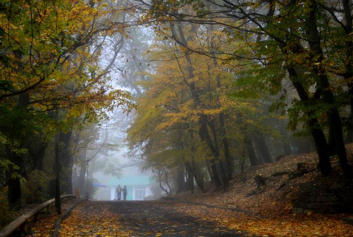 В парке осеннем.......  