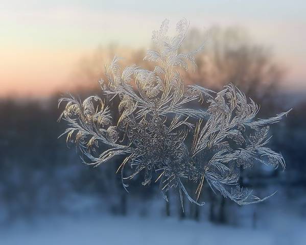 Февраль рисует