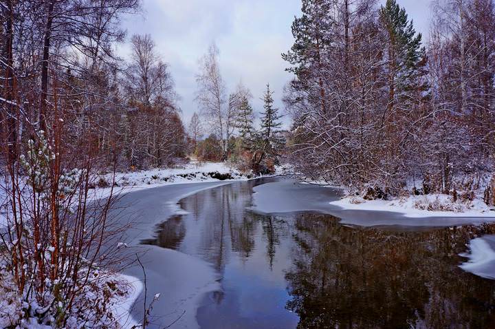 Предзимье