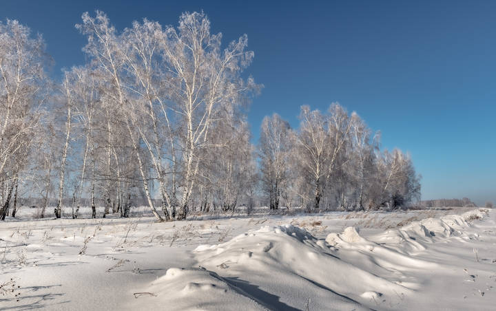 Зрелая зима.