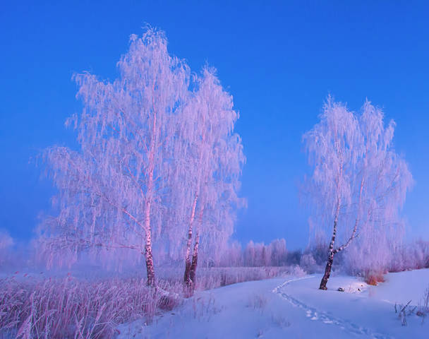 Морозное утро