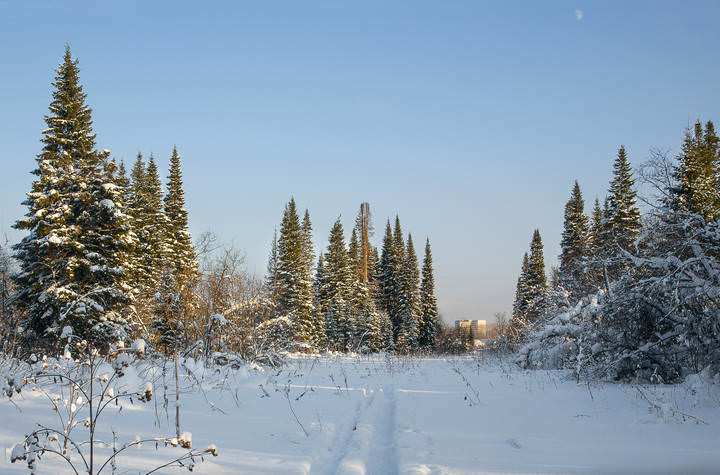 За городом Зима