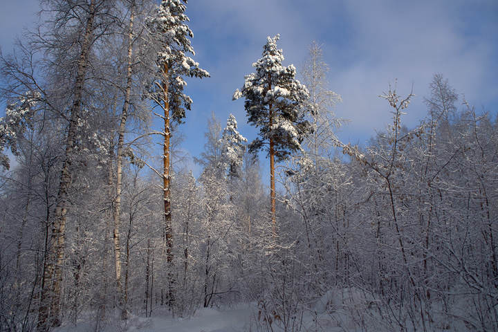 Полдень