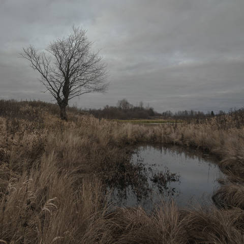 Осенняя грусть