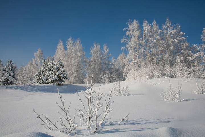 Солнечным днём