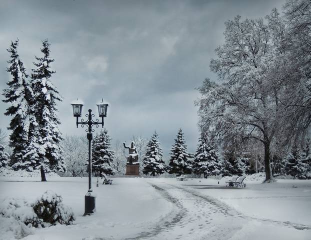Зимняя зарисовка