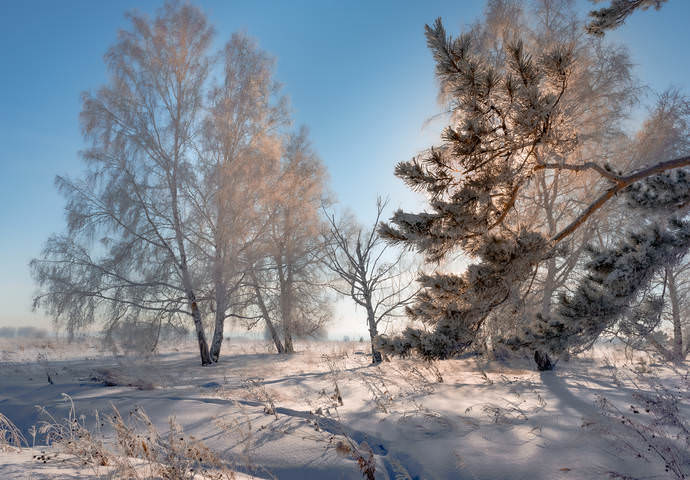 Повернуло солнце на весну.