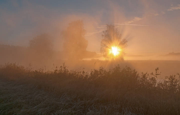 ***