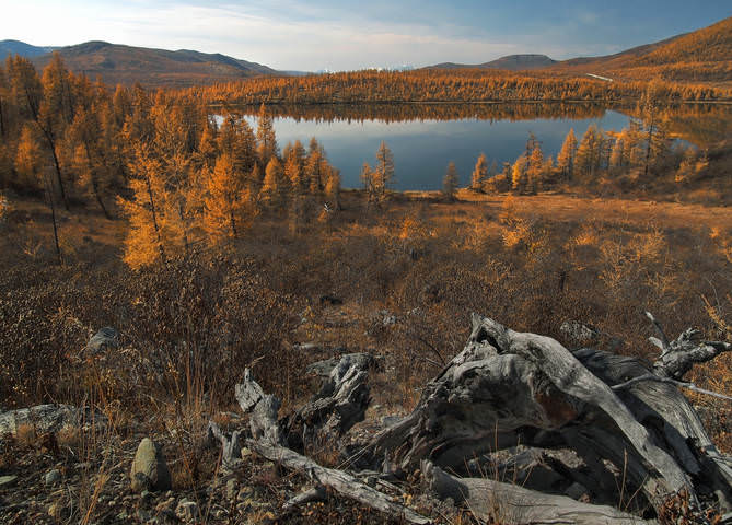 Осень в урочище Ильчир