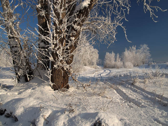 У развилки дорог