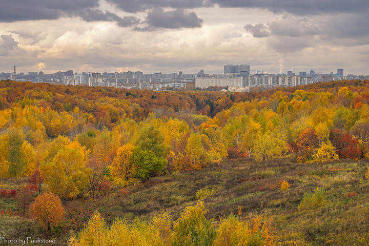 Московская осень...