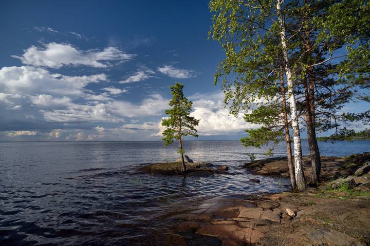 Синева