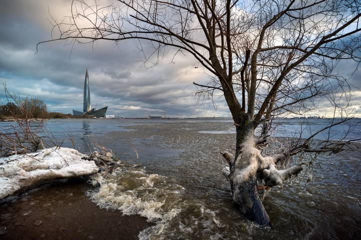 Лахтинская панорама