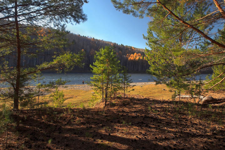 Осеняя картинка