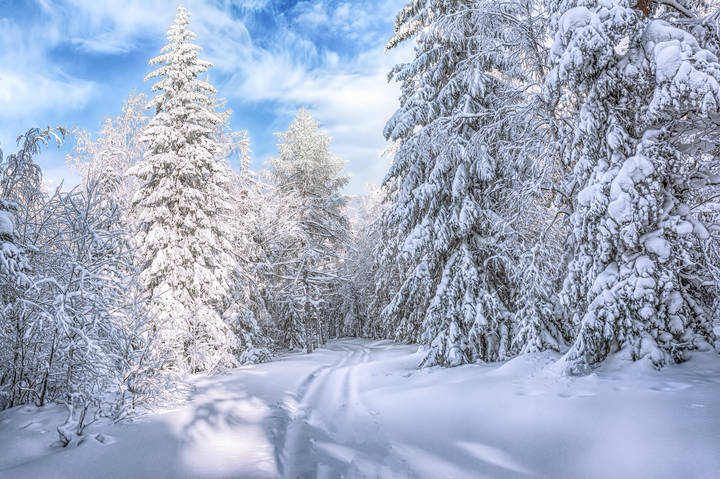 Зимний полдень