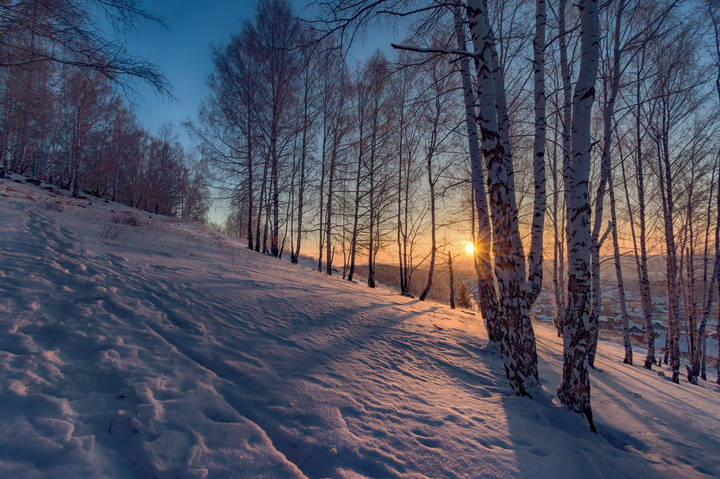 Утренние лучи