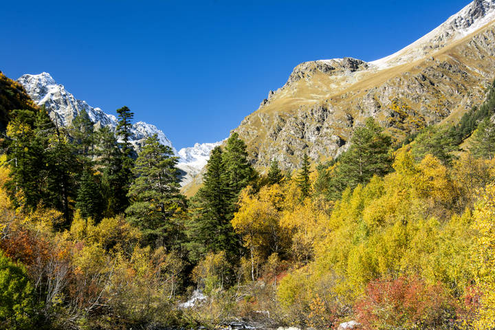 краски осени