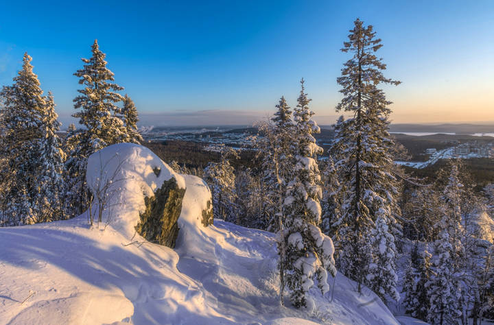 Солнечное утро