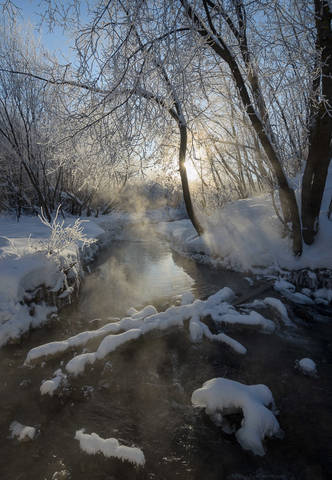 Зимняя зарисовка