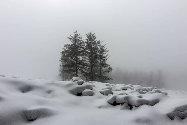 in the white fog...