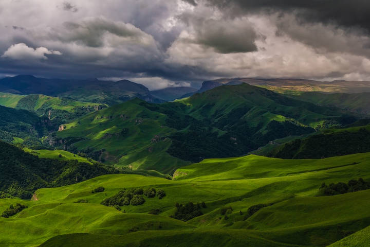 in the green dunes...