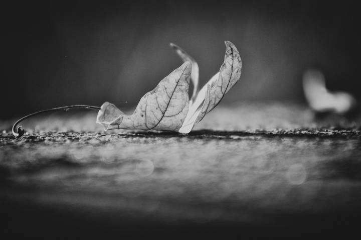 Lyric Blues
