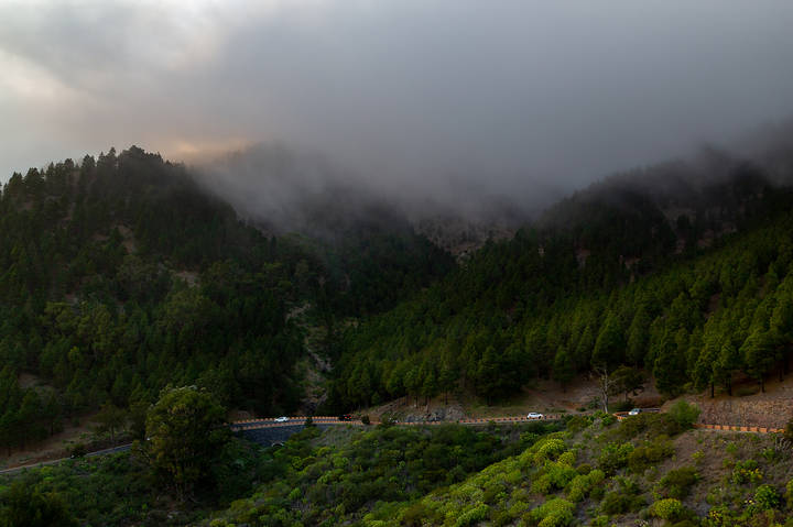 В окрестностях Masca, Tenerife