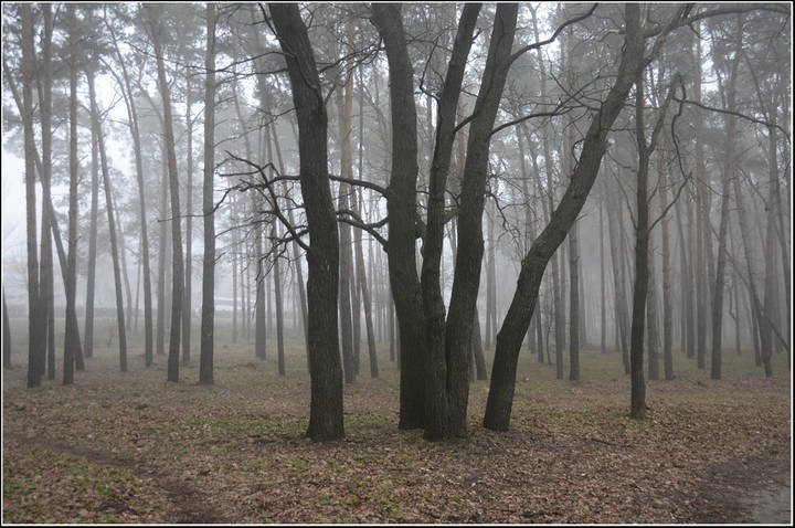 В парке