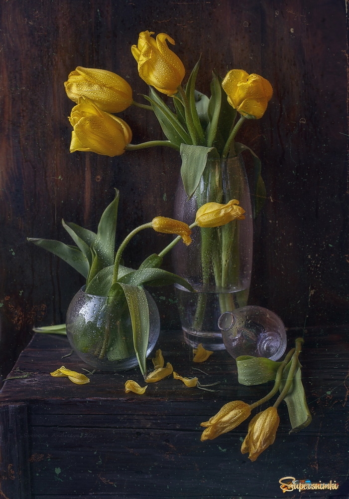 жёлтые тюльпаны*