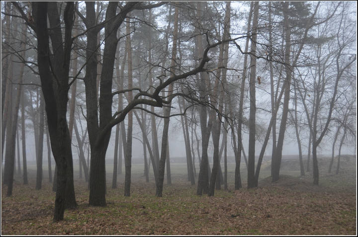 В парке