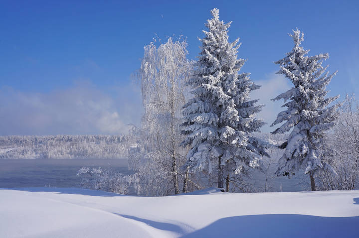 Повеселели старые знакомые.
