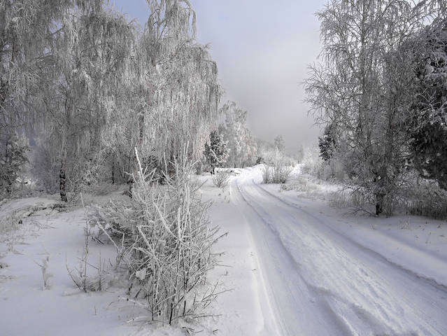 По дороге к реке