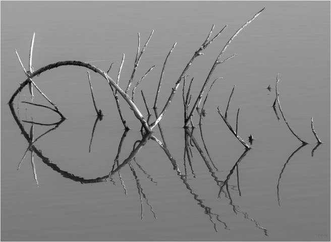 чЕрты и рЕзы...