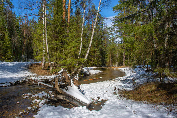 Вот и кончилась зима