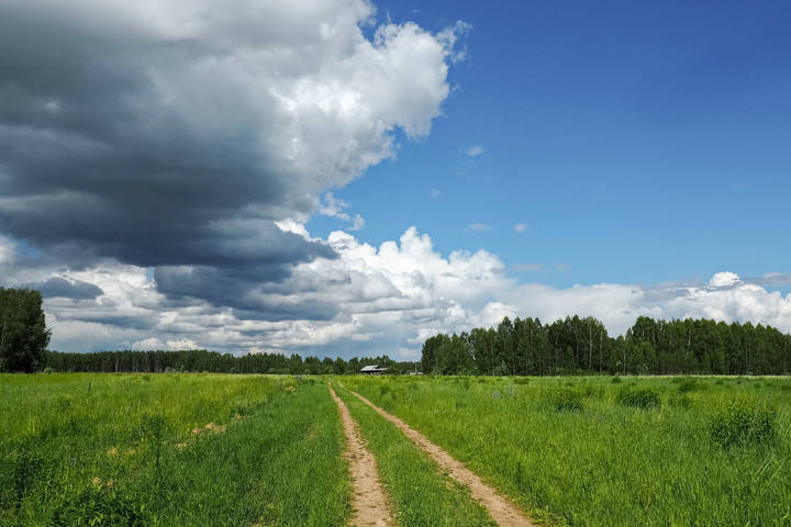 Дорога назад... в прошлое...