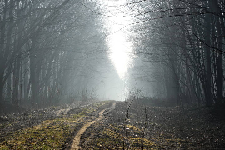 Наша жизнь...
