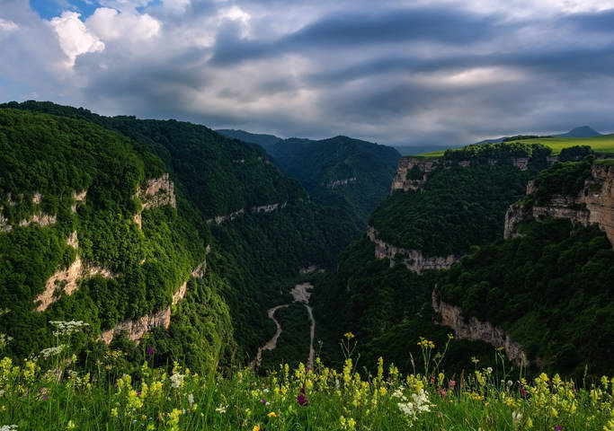spring in the canyon...