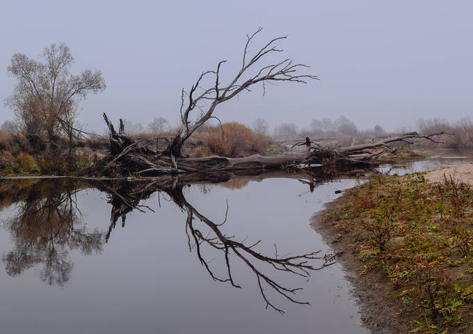 Рассвет на Тетереве