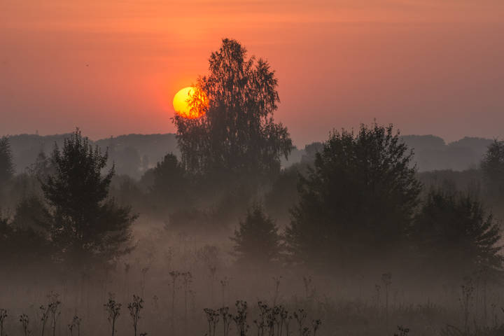 Козелецкие туманы