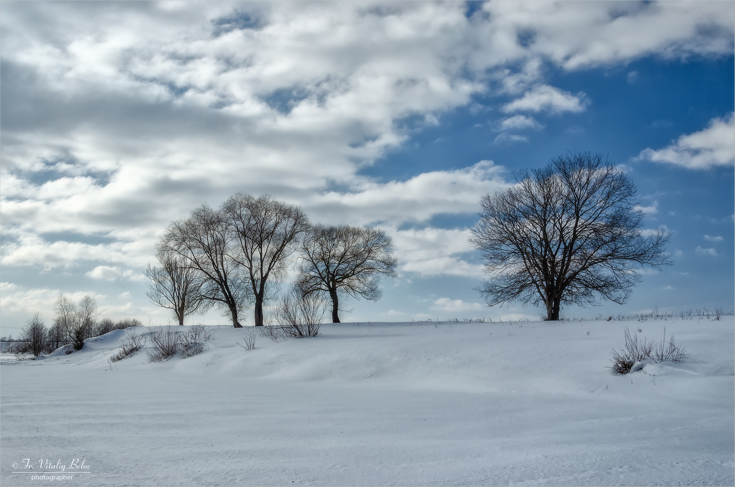Деревья у реки покрытой снегом