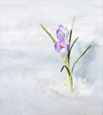 Сегодня... весна )