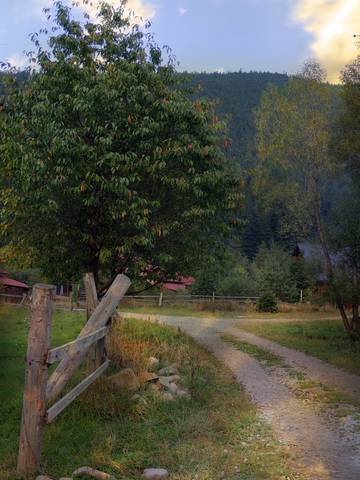Сельская зарисовка