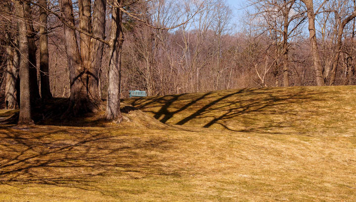 Мелодия старого парка