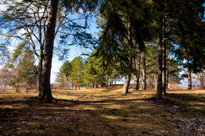 Пересменка