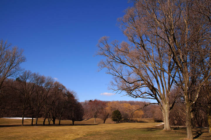 Покой под небом голубым