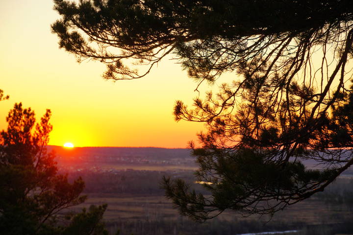 Прогулка