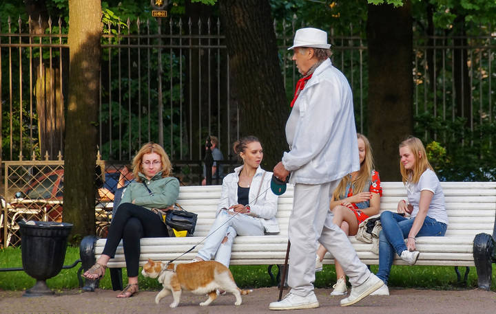 Покоряя дам сердца